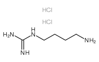 1-氨基-4-丁基胍二盐酸盐