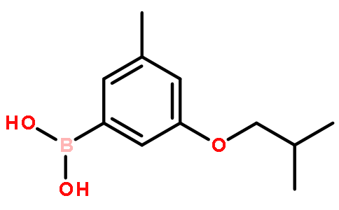 3-異丁氧基-5-甲基苯硼酸