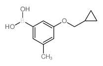 3-(环丙基甲氧基)-5-甲基苯硼酸