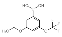 3-乙氧基-5-(三氟甲氧基)苯硼酸