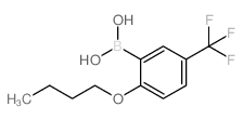 2-丁氧基-5-(三氟甲基)苯硼酸