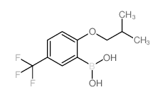 2-異丁氧基-5-(三氟甲基)苯硼酸