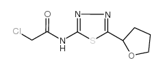 2-chloro-N-[5-(oxolan-2-yl)-1,3,4-thiadiazol-2-yl]acetamide