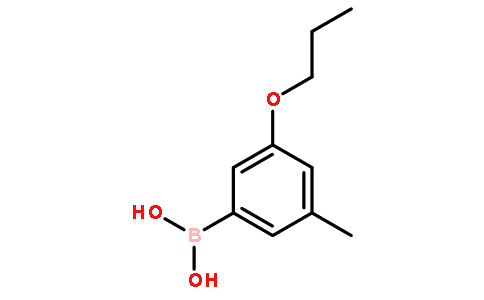 3-甲基-5-丙氧基苯硼酸