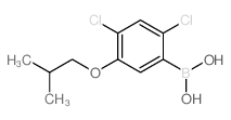 24-二氯-5-异丁氧基苯硼酸
