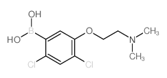 24-二氯-5-(2-(二甲基氨基)乙氧基)苯硼酸