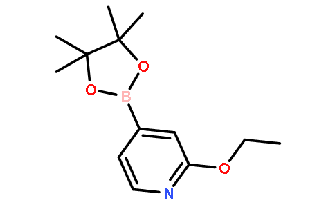 2-乙氧基-4-(4,4,5,5-四甲基-1,3,2- 二噁硼烷-2-基)-吡啶