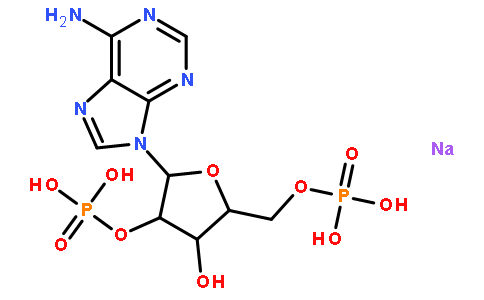 腺苷2`,5`-二磷酸钠盐