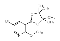 5-溴-2-甲氧基-3-(4,4,5,5-四甲基-1,3,2-二杂氧戊硼烷-2-基)吡啶