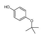 4 -（叔丁氧基）苯酚