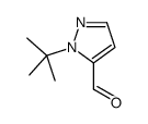 2-tert-butylpyrazole-3-carbaldehyde
