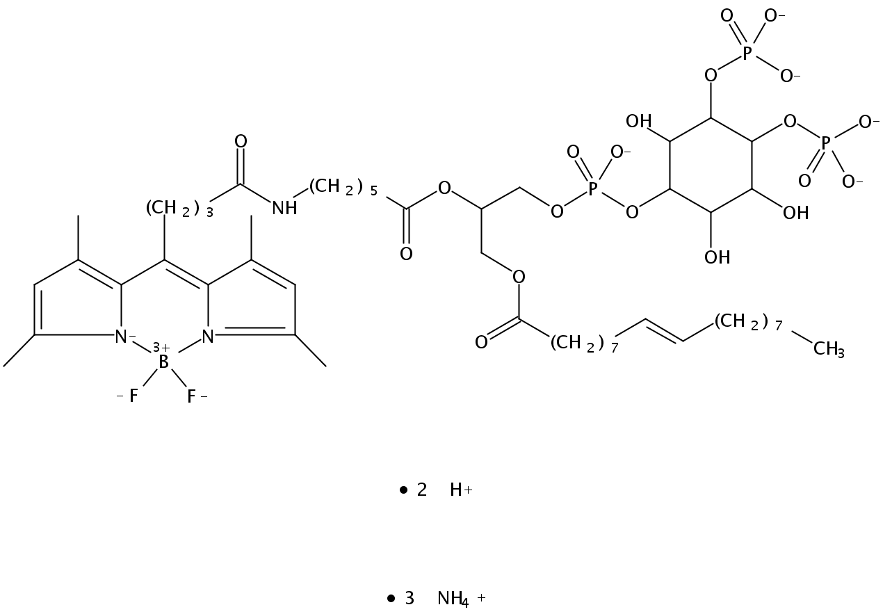 1-oleoyl-2-{6-[4-(dipyrrometheneboron difluoride)butanoyl]amino}hexanoyl-sn-glycero-3-phosphoinositol-4,5-bisphosphate (ammonium salt)