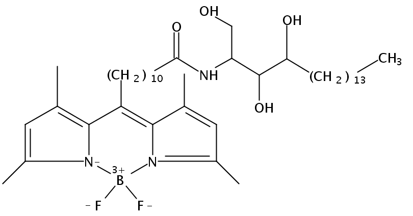 N-[11-(dipyrrometheneboron difluoride)undecanoyl]-phytosphingosine