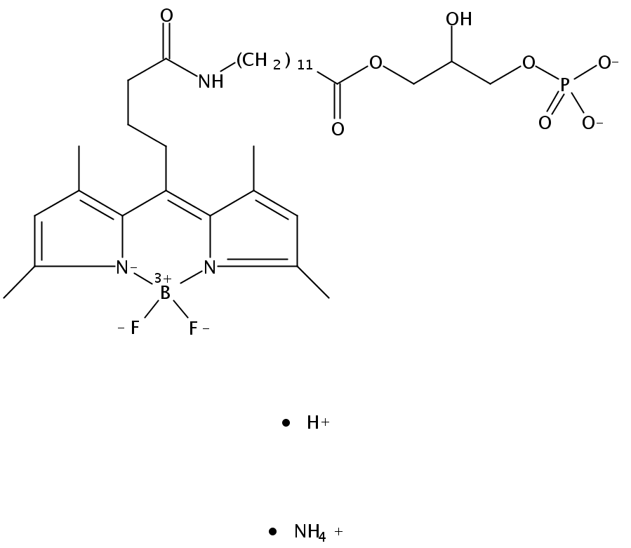 1-{12-[4-(dipyrrometheneboron difluoride)butanoyl]amino}dodecanoyl-2-hydroxy-sn-glycero-3-phosphate (ammonium salt)