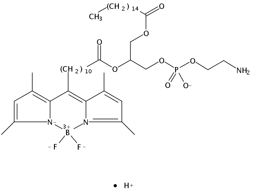 1-palmitoyl-2-(dipyrrometheneboron difluoride)undecanoyl-sn-glycero-3-phosphoethanolamine