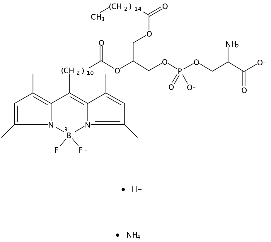 1-palmitoyl-2-(dipyrrometheneboron difluoride)undecanoyl-sn-glycero-3-phospho-L-serine (ammonium salt)
