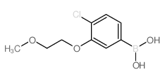 4-氯-3-(2-甲氧基乙氧基)苯硼酸