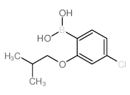 4-氯-2-异丁氧基苯硼酸