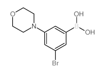3-溴-5-吗啉苯硼酸