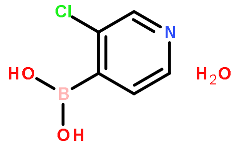 3-氯-4-吡啶硼酸 水合物