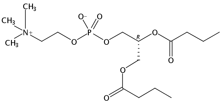 1,2-dibutyryl-sn-glycero-3-phosphocholine
