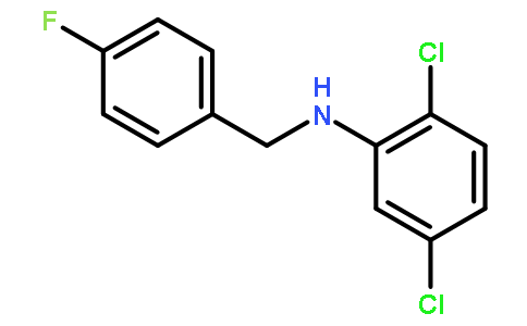 2,5-dichloro-N-[(4-fluorophenyl)methyl]aniline