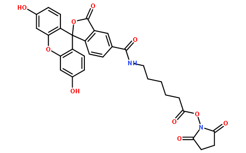 5-FAM-X, SE[5-羧基荧光素琥珀酰亚胺酯]