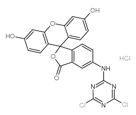6-([4,6-二氯三嗪-2-基]氨基)荧光素盐酸盐
