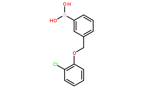 3-(2-氯苯氧基甲基)苯硼酸