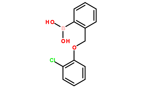 2-(2-氯苯氧基甲基)苯硼酸