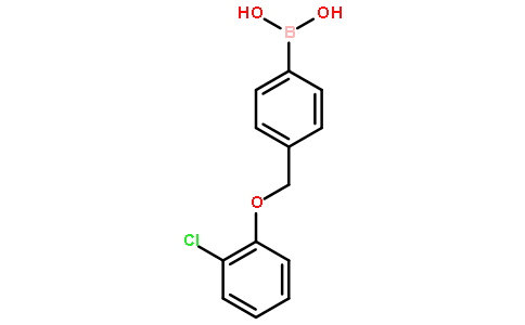 4-(2-氯苯氧基甲基)苯硼酸