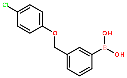 3-(4-氯苯氧基甲基)苯硼酸