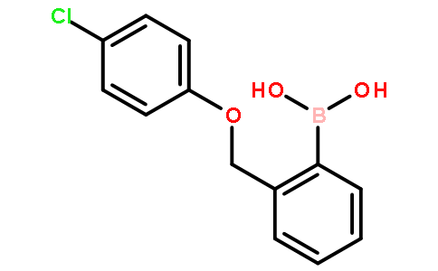 2-(4-氯苯氧基甲基)苯硼酸