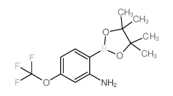 2-氨基-4-三氟甲氧基苯硼酸频那醇酯