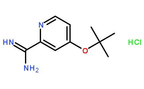 4-叔丁氧基吡啶甲酰胺盐酸盐