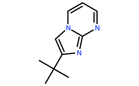 2-叔丁基咪唑并[1,2-a]嘧啶