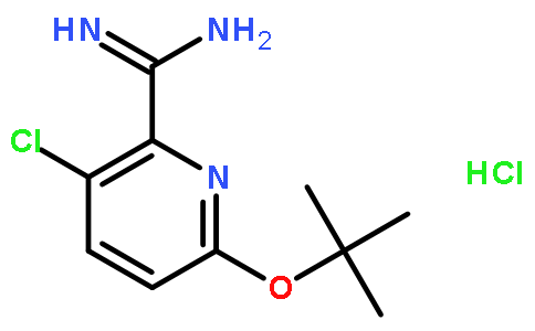 6-叔丁氧基-3-氯吡啶甲酰胺盐酸盐