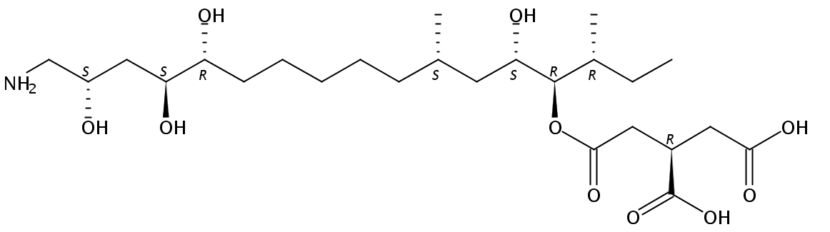 AAL Toxin TA2