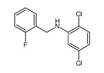 2,5-dichloro-N-[(2-fluorophenyl)methyl]aniline