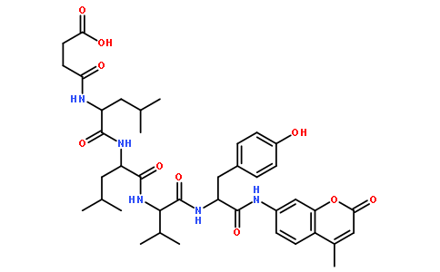 N-琥珀酰基-亮氨酰-亮氨酰-缬氨酰-酪氨酸-7-胺基-4-甲基香豆素