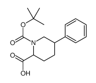 5-苯基-哌啶-1,2-二羧酸 1-叔丁酯