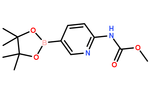 2-甲氧基羰基氨基吡啶-5-硼酸频那醇酯