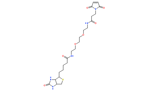 N-生物素基-N'-(3-马来酰亚胺基丙酰基)-3,6-二氧杂辛烷-1,8-二胺