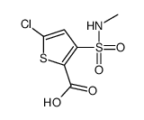 5-Chloro-3-[(methylamino)sulfonyl]-2-thiophenecarboxylic acid