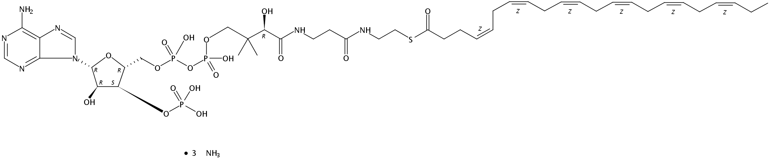 docosahexaenoyl Coenzyme A (ammonium salt)