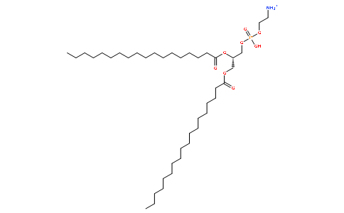 1,2-二酰基-sn-甘油-3-磷酸乙醇胺 L-α-脑磷脂