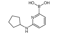 [6-(cyclopentylamino)pyridin-2-yl]boronic acid