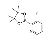 3-fluoro-6-methyl-2-(4,4,5,5-tetramethyl-1,3,2-dioxaborolan-2-yl)pyridine