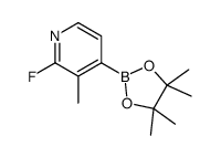 2-fluoro-3-methyl-4-(4,4,5,5-tetramethyl-1,3,2-dioxaborolan-2-yl)pyridine