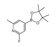 2-fluoro-6-methyl-4-(4,4,5,5-tetramethyl-1,3,2-dioxaborolan-2-yl)pyridine